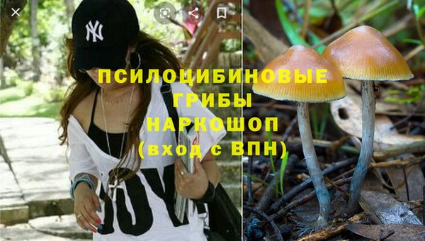 мдпв Богородск