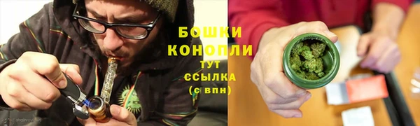 мдпв Богородск