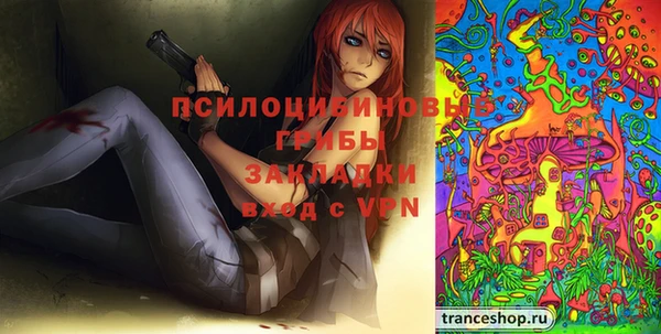 спайс Богданович