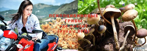 таблы Богородицк