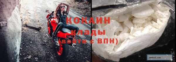 спайс Богданович