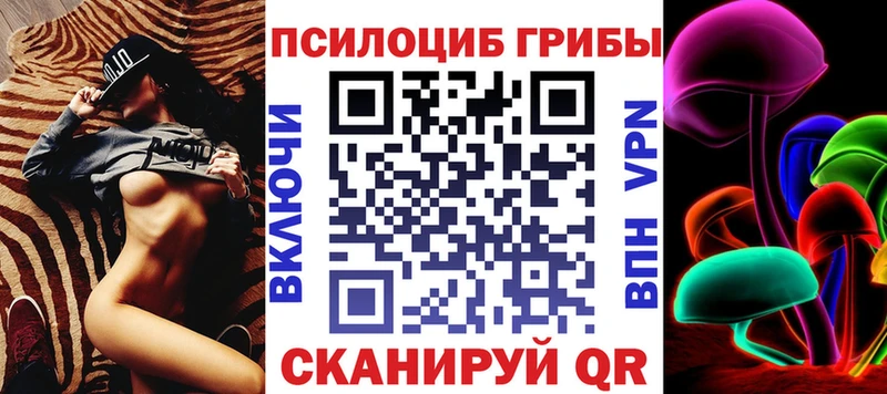 Псилоцибиновые грибы Psilocybine cubensis  Кондопога 